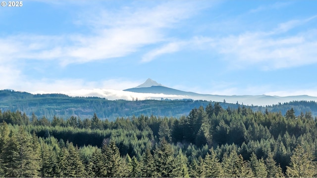 view of mountain feature