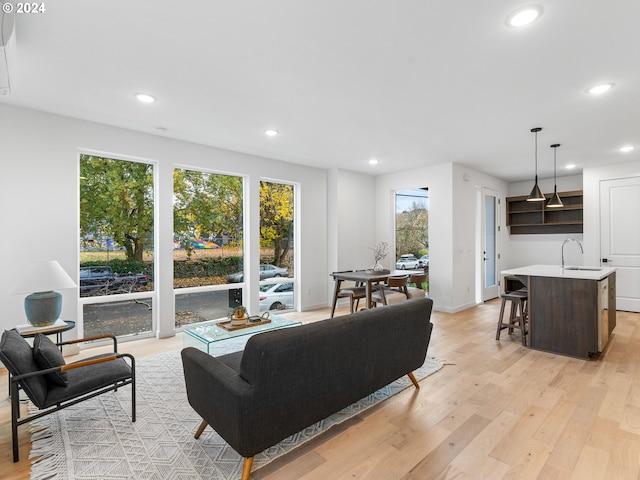 living room with light hardwood / wood-style flooring and sink