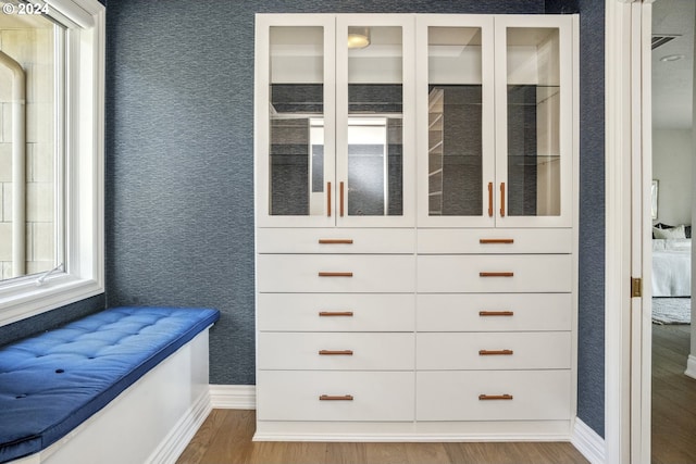 spacious closet featuring wood-type flooring