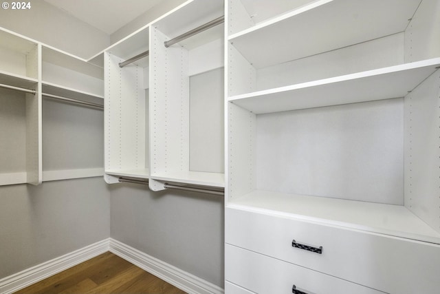 walk in closet with dark hardwood / wood-style flooring