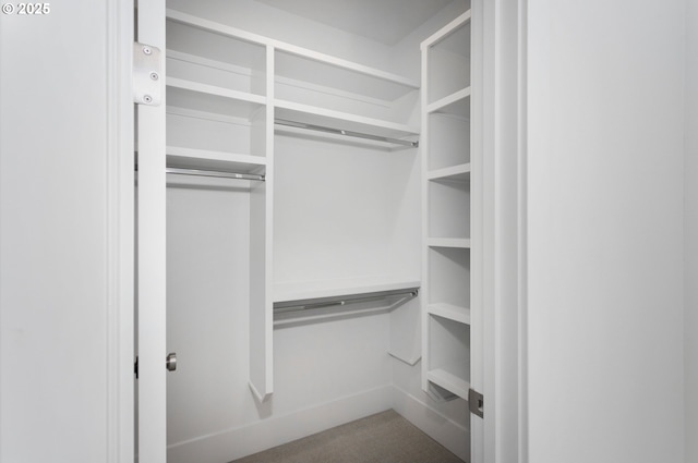 spacious closet featuring carpet floors