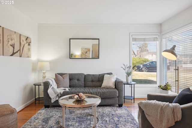 living room with ornamental molding, plenty of natural light, and wood-type flooring