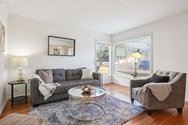 living room with crown molding and hardwood / wood-style flooring