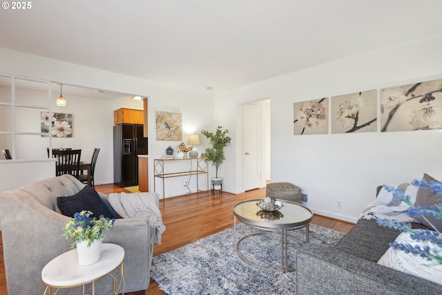 living room featuring light hardwood / wood-style flooring