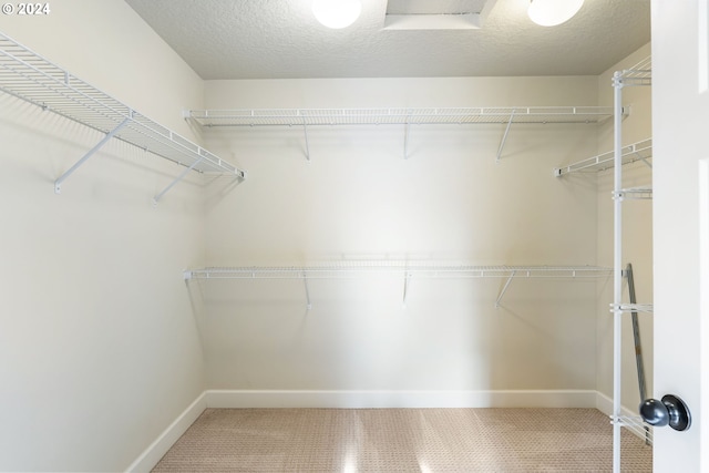 view of walk in closet