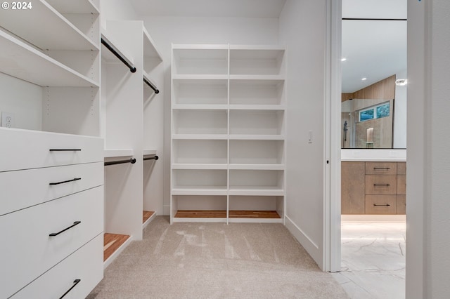 walk in closet with light carpet