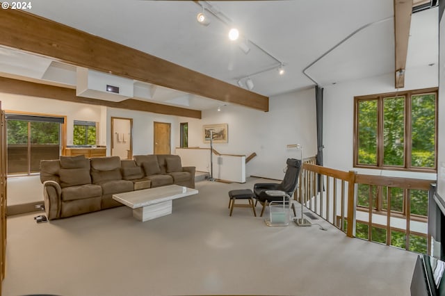 living room featuring beamed ceiling, a healthy amount of sunlight, and track lighting