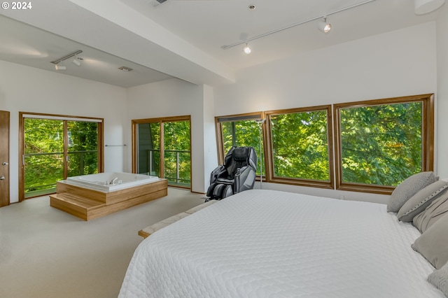 bedroom with carpet, rail lighting, and multiple windows