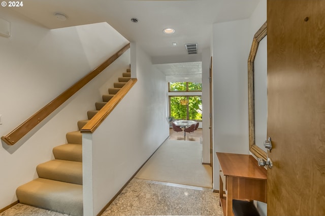 stairway featuring carpet floors