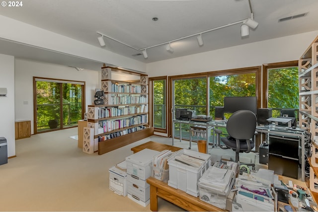 office area with rail lighting and light colored carpet