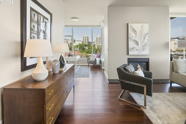 hall with dark hardwood / wood-style flooring