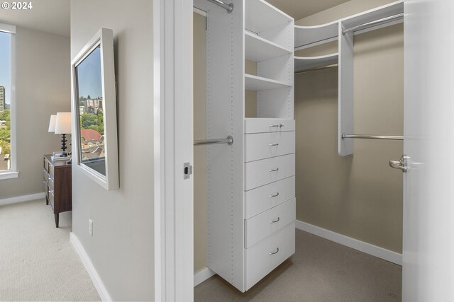 spacious closet featuring light colored carpet