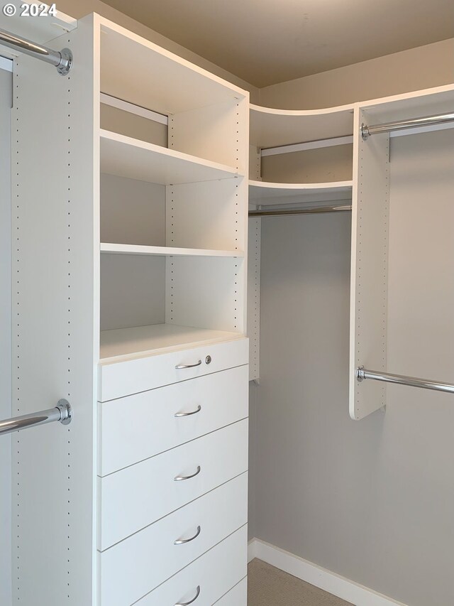 view of spacious closet