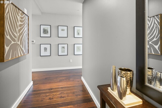 hall featuring dark hardwood / wood-style flooring