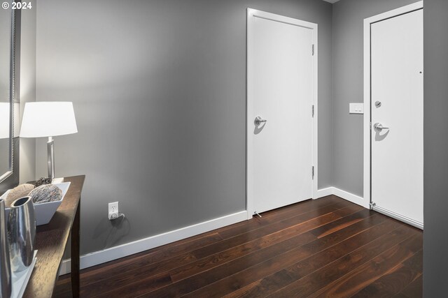 entryway featuring dark hardwood / wood-style flooring