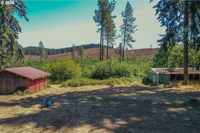 view of yard with an outdoor structure and a pole building