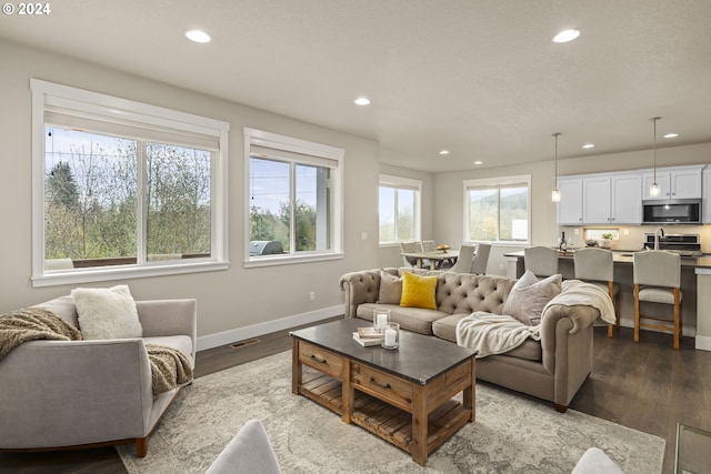 living room featuring hardwood / wood-style floors