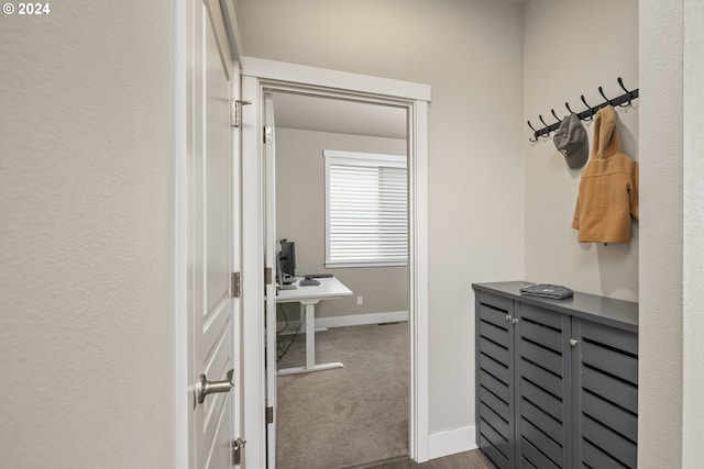 spacious closet featuring carpet flooring