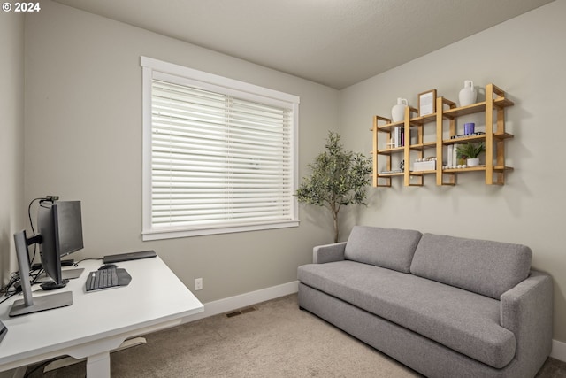 office featuring a wealth of natural light and carpet