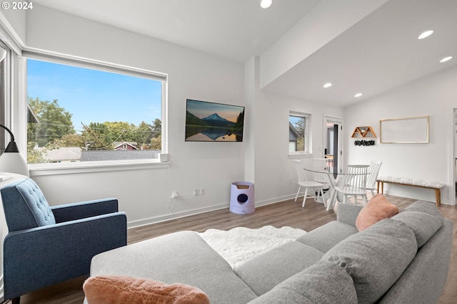 living room with a healthy amount of sunlight and wood-type flooring