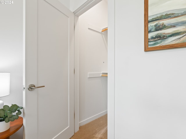 walk in closet featuring light carpet