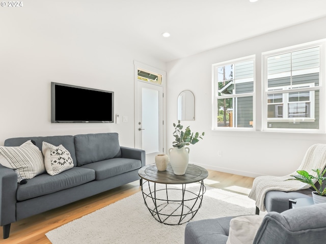 living room with hardwood / wood-style flooring