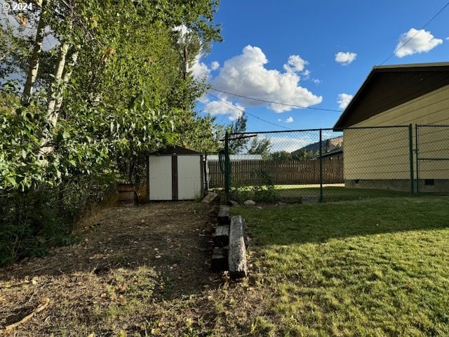 view of yard with a shed