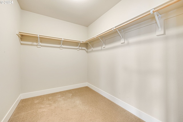 walk in closet featuring carpet