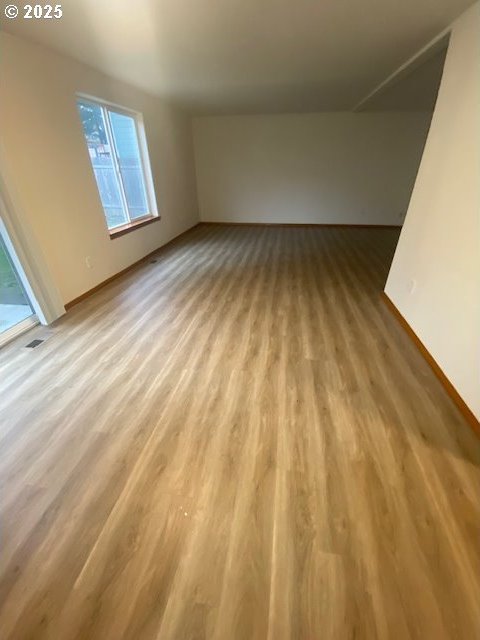 spare room featuring a healthy amount of sunlight and light hardwood / wood-style floors