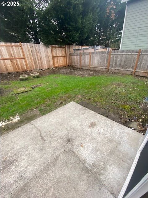 view of yard with a patio