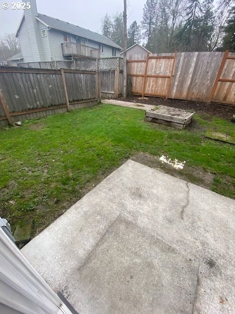 view of yard with a patio area