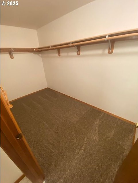 walk in closet featuring carpet