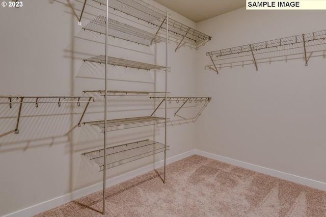 spacious closet with carpet flooring