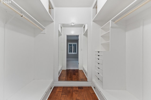 walk in closet with dark wood-type flooring