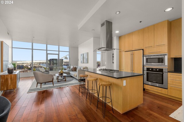 kitchen featuring a center island, appliances with stainless steel finishes, dark wood-type flooring, and extractor fan