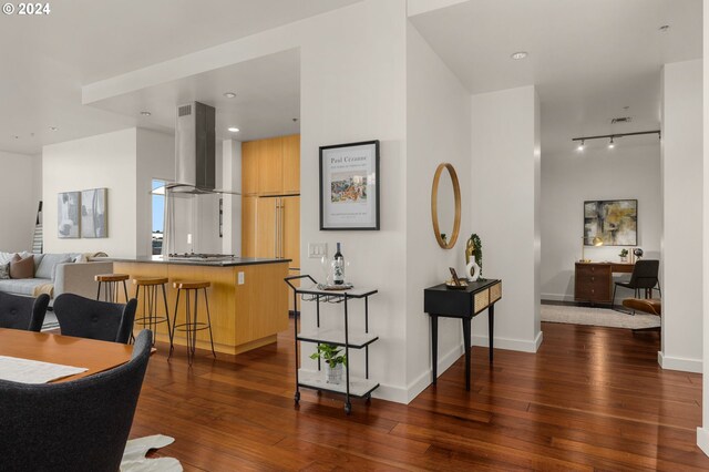 dining space featuring rail lighting and dark hardwood / wood-style flooring