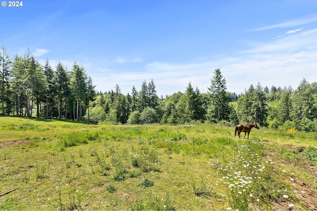 view of local wilderness with a rural view