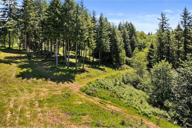 view of local wilderness