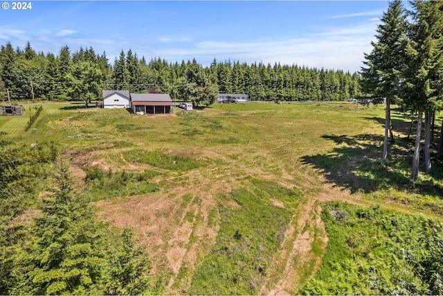 drone / aerial view featuring a rural view