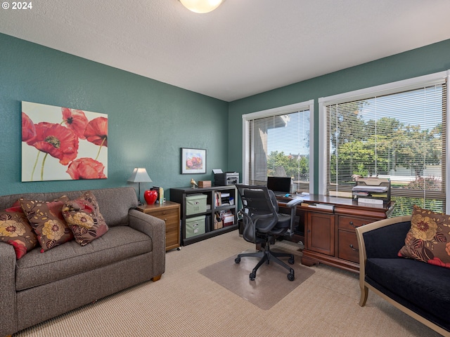 view of carpeted home office