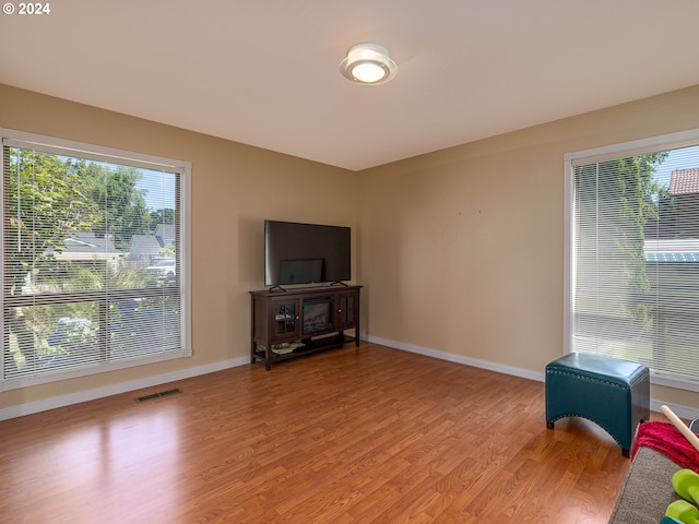 living room with light hardwood / wood-style floors and a healthy amount of sunlight