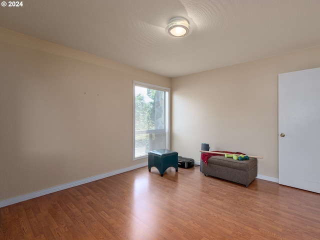 living area with light hardwood / wood-style floors