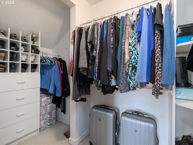 view of spacious closet