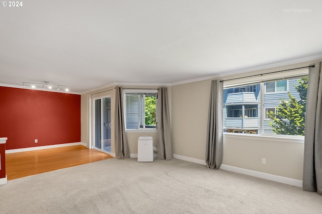 carpeted empty room featuring crown molding and rail lighting