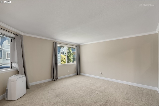 carpeted empty room featuring crown molding