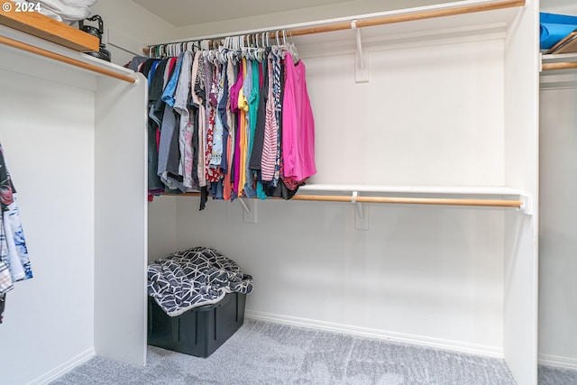 walk in closet with carpet flooring