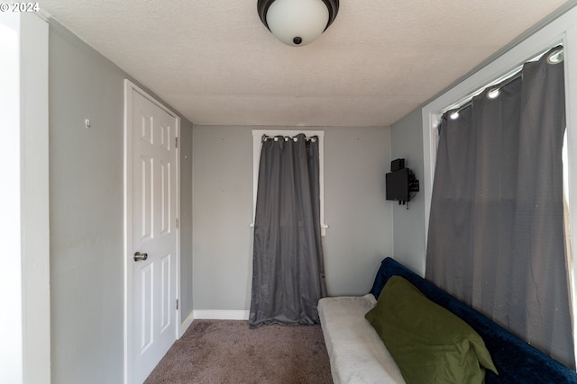 bedroom featuring carpet flooring and a textured ceiling