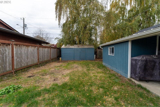 view of yard with a storage shed