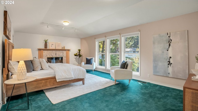 bedroom with dark colored carpet and track lighting