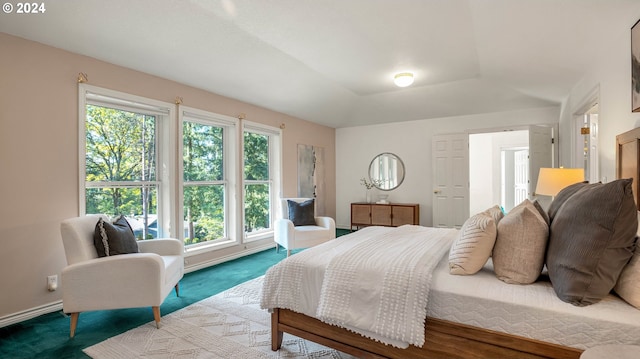 bedroom with carpet and multiple windows